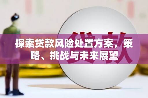 镇原探索贷款风险处置方案，策略、挑战与未来展望