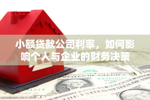 镇原小额贷款公司利率，如何影响个人与企业的财务决策