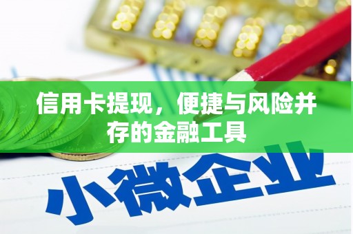 镇原信用卡提现，便捷与风险并存的金融工具