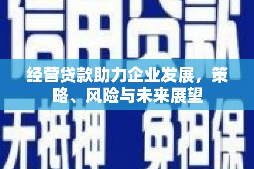 镇原经营贷款助力企业发展，策略、风险与未来展望