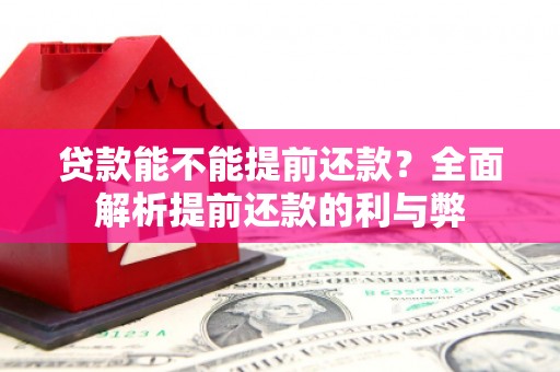 镇原贷款能不能提前还款？全面解析提前还款的利与弊