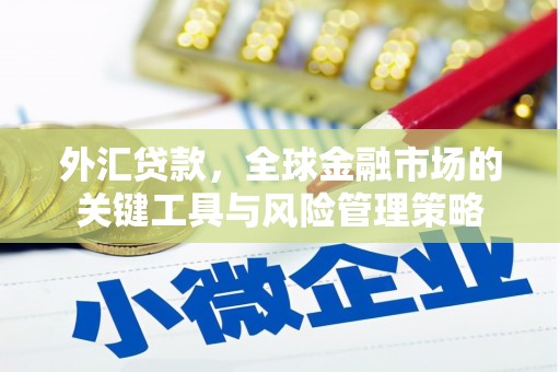 镇原外汇贷款，全球金融市场的关键工具与风险管理策略