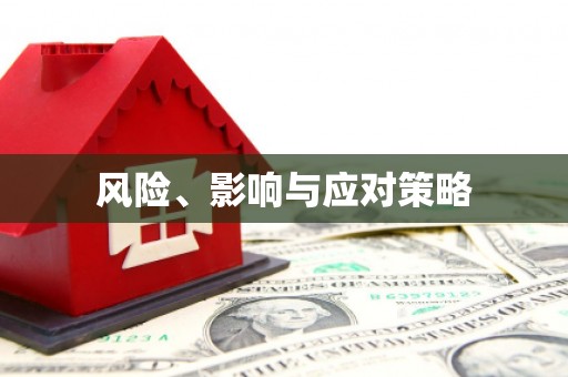 镇原风险、影响与应对策略