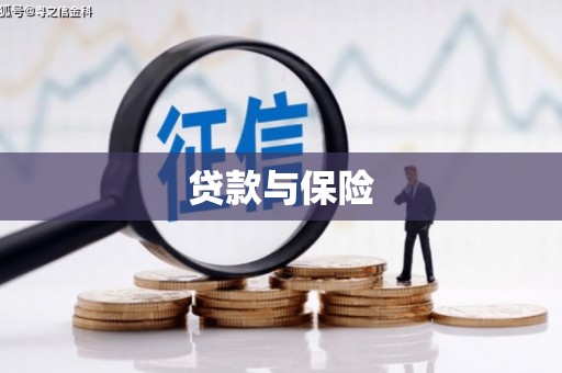 镇原贷款与保险