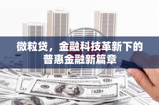镇原微粒贷，金融科技革新下的普惠金融新篇章