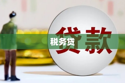 镇原税务贷