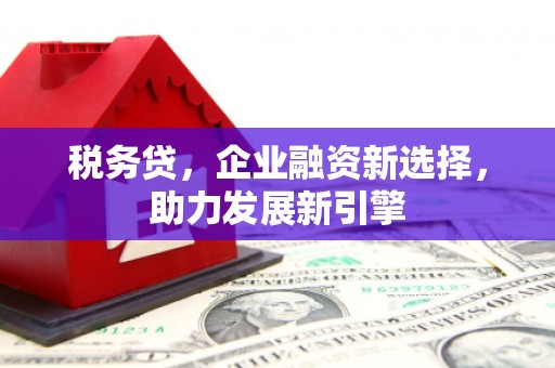 镇原税务贷，企业融资新选择，助力发展新引擎