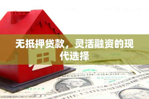 镇原无抵押贷款，灵活融资的现代选择