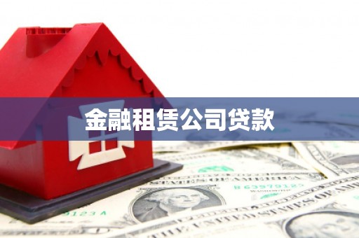 镇原金融租赁公司贷款