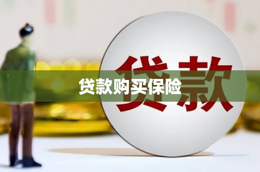 镇原贷款购买保险