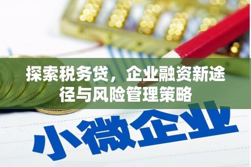 镇原探索税务贷，企业融资新途径与风险管理策略