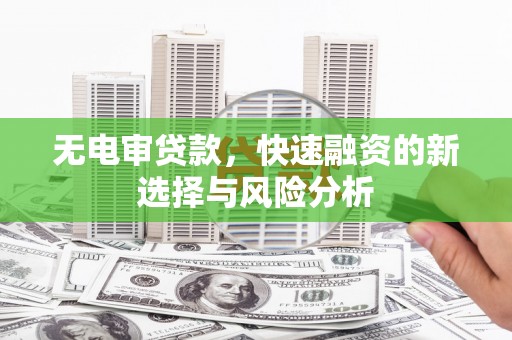 镇原无电审贷款，快速融资的新选择与风险分析