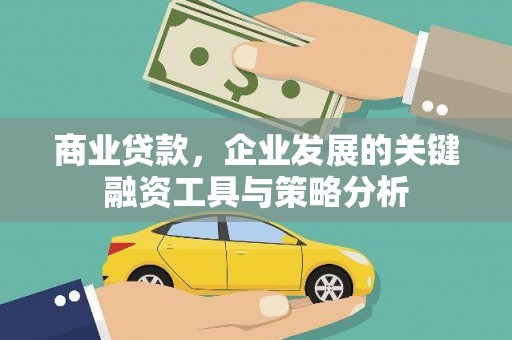 镇原商业贷款，企业发展的关键融资工具与策略分析