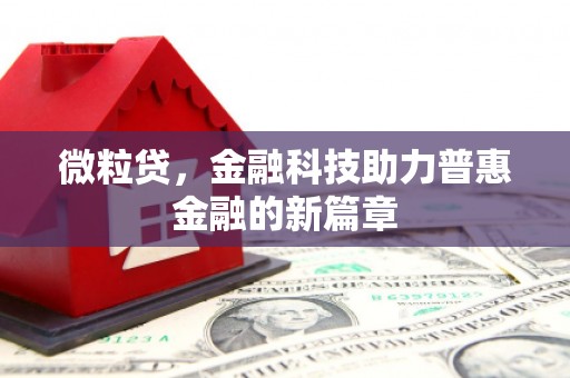镇原微粒贷，金融科技助力普惠金融的新篇章