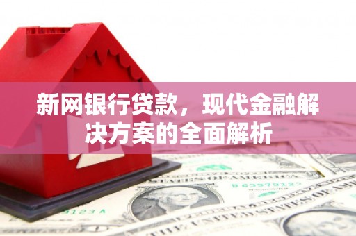 镇原新网银行贷款，现代金融解决方案的全面解析