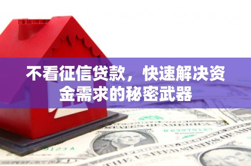 镇原不看征信贷款，快速解决资金需求的秘密武器
