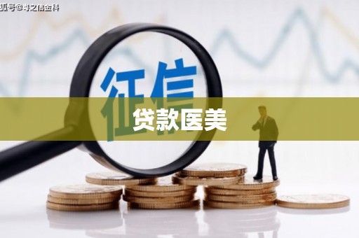 镇原贷款医美