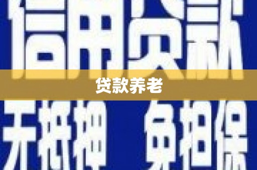镇原贷款养老