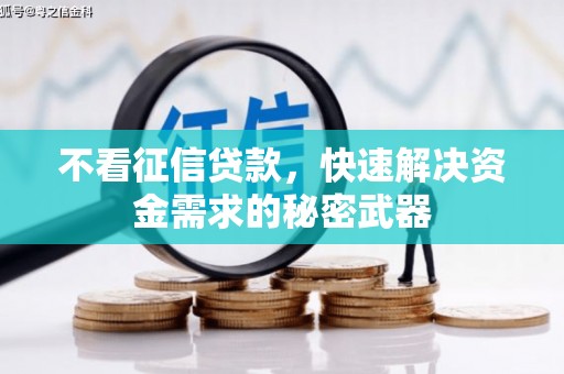 镇原不看征信贷款，快速解决资金需求的秘密武器