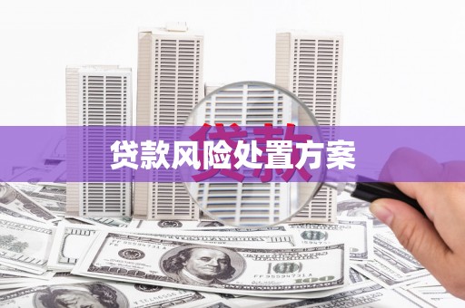 镇原贷款风险处置方案