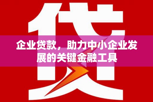 镇原企业贷款，助力中小企业发展的关键金融工具