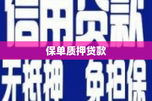 镇原保单质押贷款