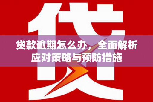 镇原贷款逾期怎么办，全面解析应对策略与预防措施