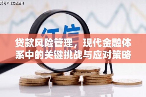 镇原贷款风险管理，现代金融体系中的关键挑战与应对策略