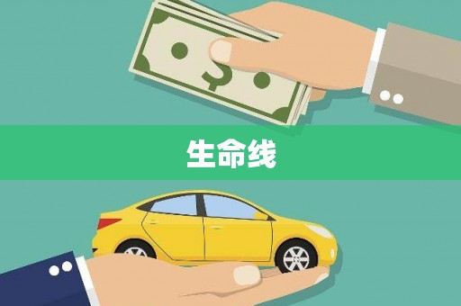 镇原生命线