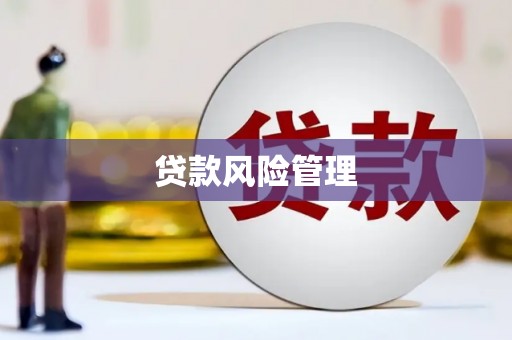 镇原贷款风险管理