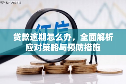 镇原贷款逾期怎么办，全面解析应对策略与预防措施