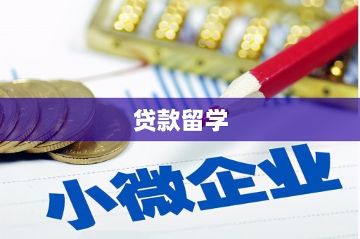 镇原贷款留学