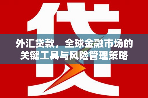 镇原外汇贷款，全球金融市场的关键工具与风险管理策略