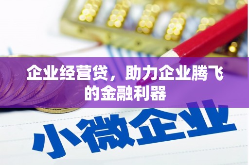 镇原企业经营贷，助力企业腾飞的金融利器