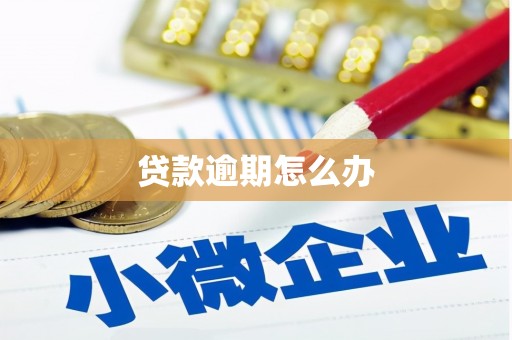 镇原贷款逾期怎么办