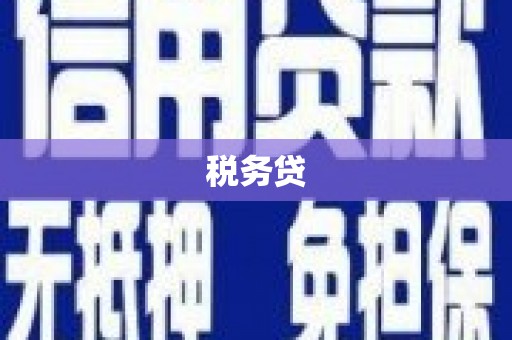 镇原税务贷
