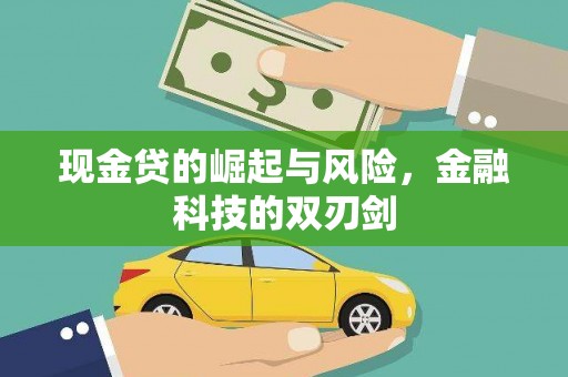 镇原现金贷的崛起与风险，金融科技的双刃剑