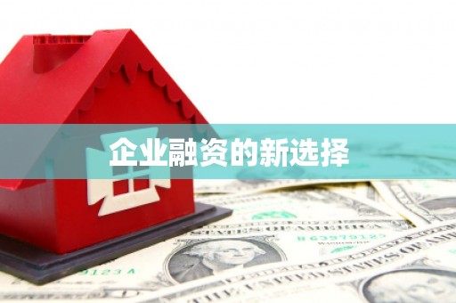 镇原企业融资的新选择
