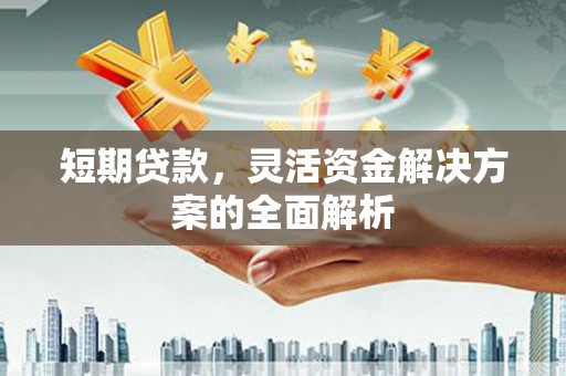 镇原短期贷款，灵活资金解决方案的全面解析