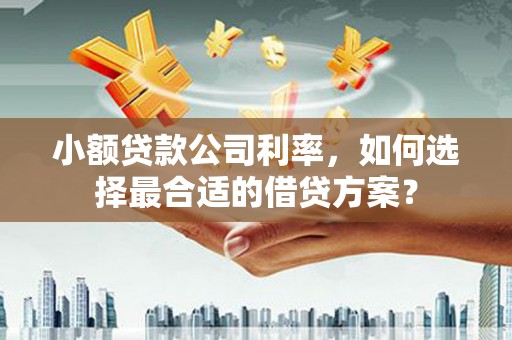 镇原小额贷款公司利率，如何选择最合适的借贷方案？