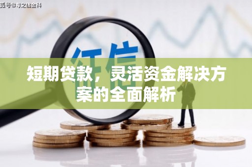 镇原短期贷款，灵活资金解决方案的全面解析