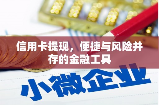 镇原信用卡提现，便捷与风险并存的金融工具