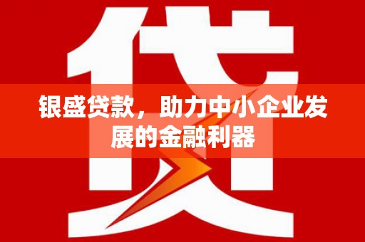 镇原银盛贷款，助力中小企业发展的金融利器