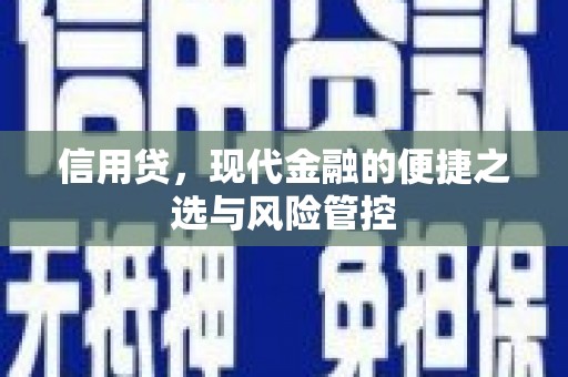 镇原信用贷，现代金融的便捷之选与风险管控