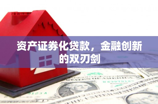 镇原资产证券化贷款，金融创新的双刃剑