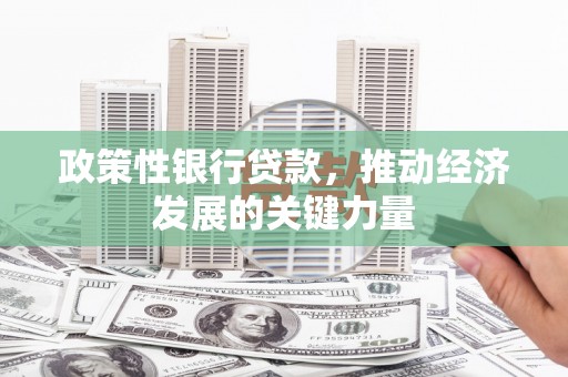 镇原政策性银行贷款，推动经济发展的关键力量