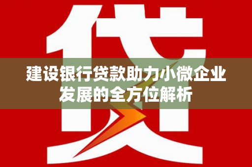镇原建设银行贷款助力小微企业发展的全方位解析