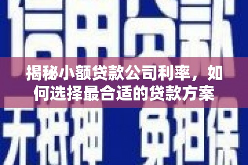 镇原揭秘小额贷款公司利率，如何选择最合适的贷款方案