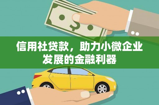 镇原信用社贷款，助力小微企业发展的金融利器