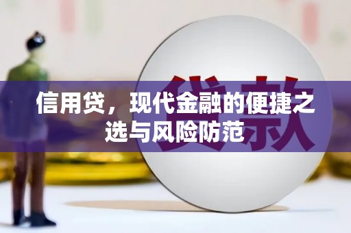 镇原信用贷，现代金融的便捷之选与风险防范
